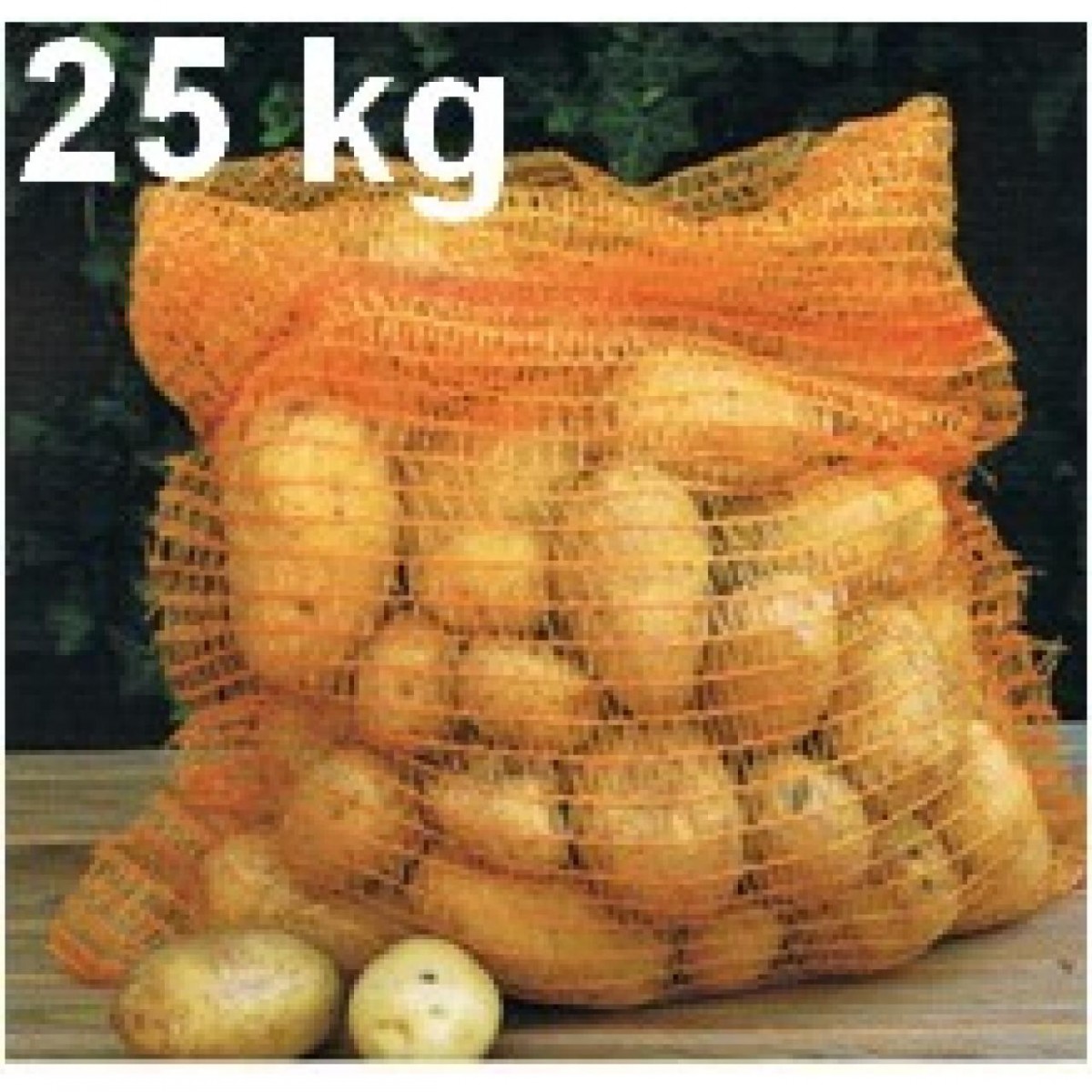 10 sacs filet nylon pour pomme de terre et fruits 50x80 cm. - Florol