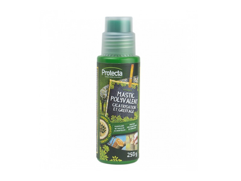 PHYTOPAST-G mastic arboricole 250g avec pinceau applicateur.