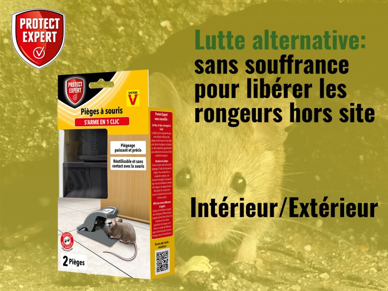 NASSE A SOURIS & RATS MONOCAPTURE - Bâtiself