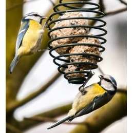 Porte Boules de Graisse à Filet - Forme oiseaux - Mangeoire Oiseaux du Ciel  : 4,29 €