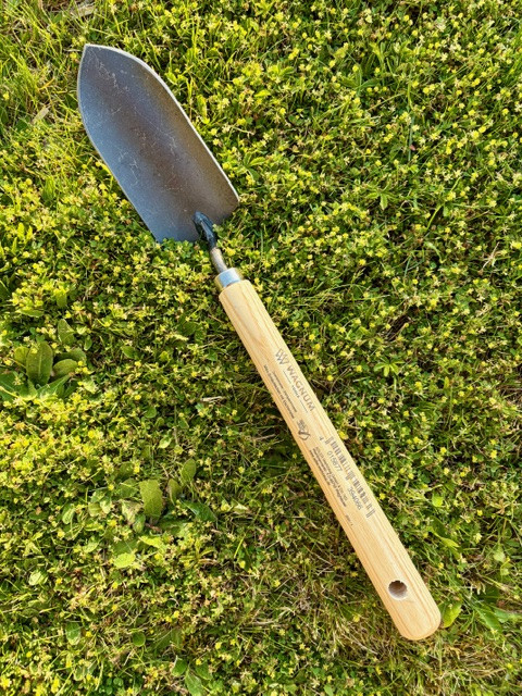Transplantoir traditionnel manche long