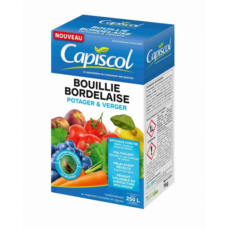 BOUILLIE BORDELAISE COLOREE 1KG
