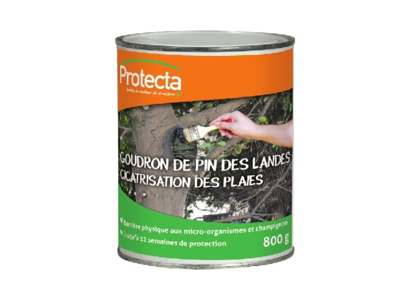 Goudron de pin des Landes dit de Norvège en 5 Kg. - Florol