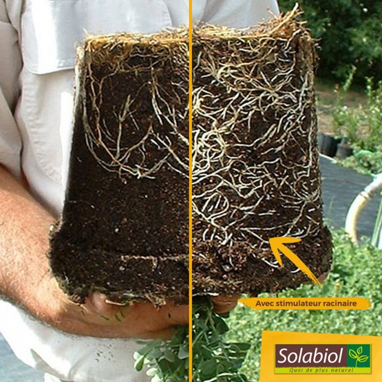 Terreau semis et bouturages 6 litres - Florol