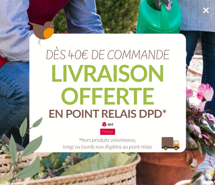 Frais de port offerts dès 40€ d'achat